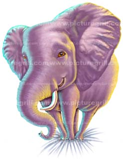 art of elephants illustrator