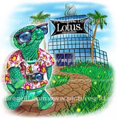 illustrator of turtle art and illustrations