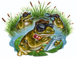 illustrator of frogs images and art