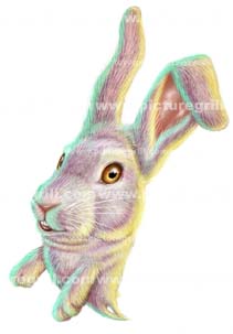 illustrator of rabbit and bunny art